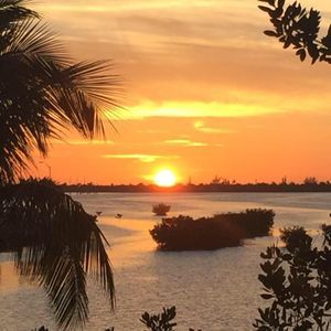 Meet your Posher, Robin